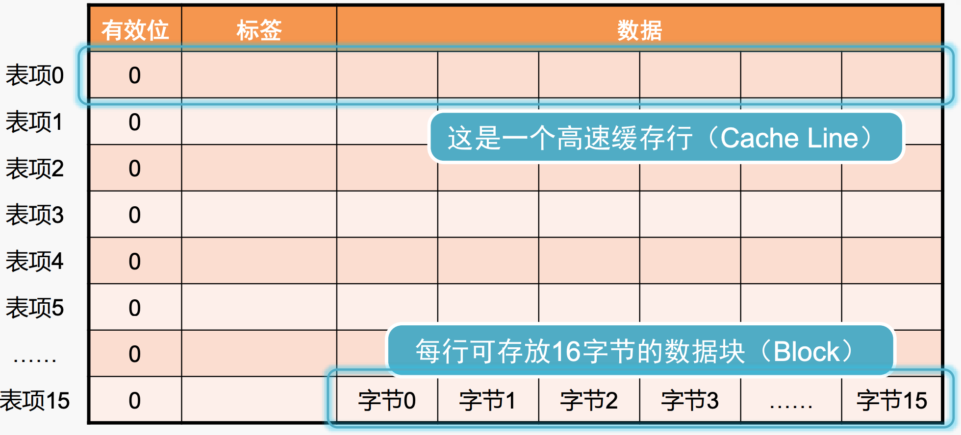 Cache内部的逻辑结构